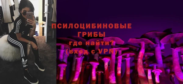 дживик Алексеевка