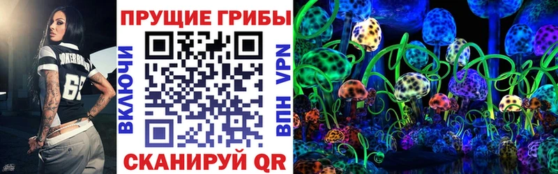 что такое наркотик  Губкин  OMG tor  Галлюциногенные грибы Cubensis 